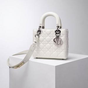 DIOR Handbags 459